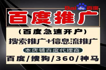 精选案例分享：SEM代运营公司效果展示